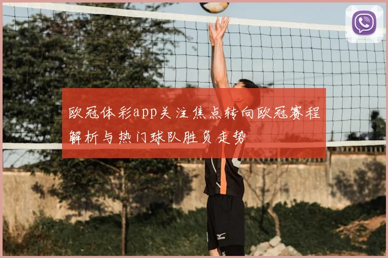 欧冠体彩app关注焦点转向欧冠赛程解析与热门球队胜负走势