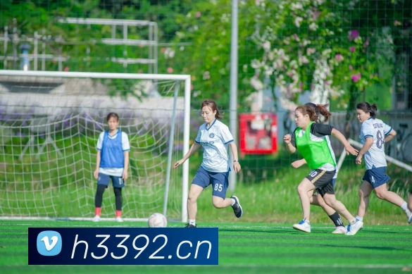 辅助工具 辅助工具